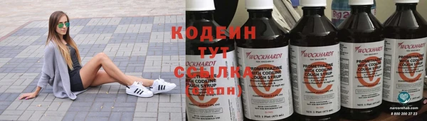 молекула духа Лабытнанги