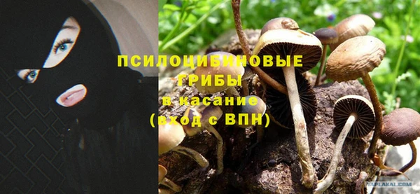 синтетический гашиш Абинск