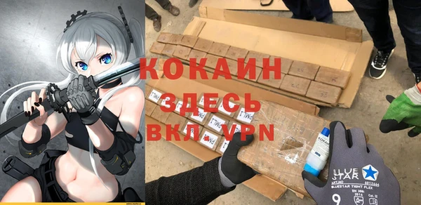 молекула духа Лабытнанги
