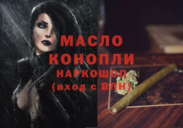 молекула духа Лабытнанги