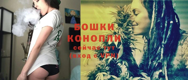 молекула духа Лабытнанги