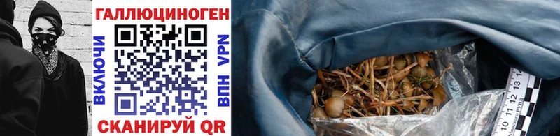 где купить   Сухиничи  Псилоцибиновые грибы GOLDEN TEACHER 